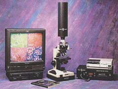 顕微鏡　写真