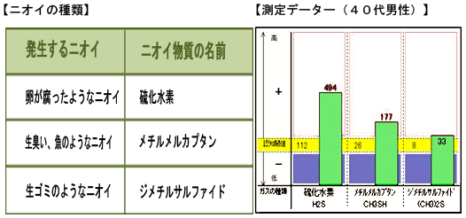 jIC̎ f[^